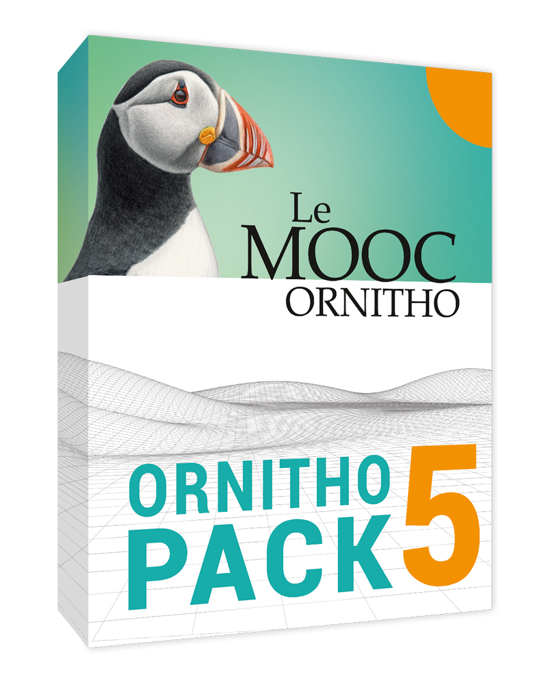 pack5