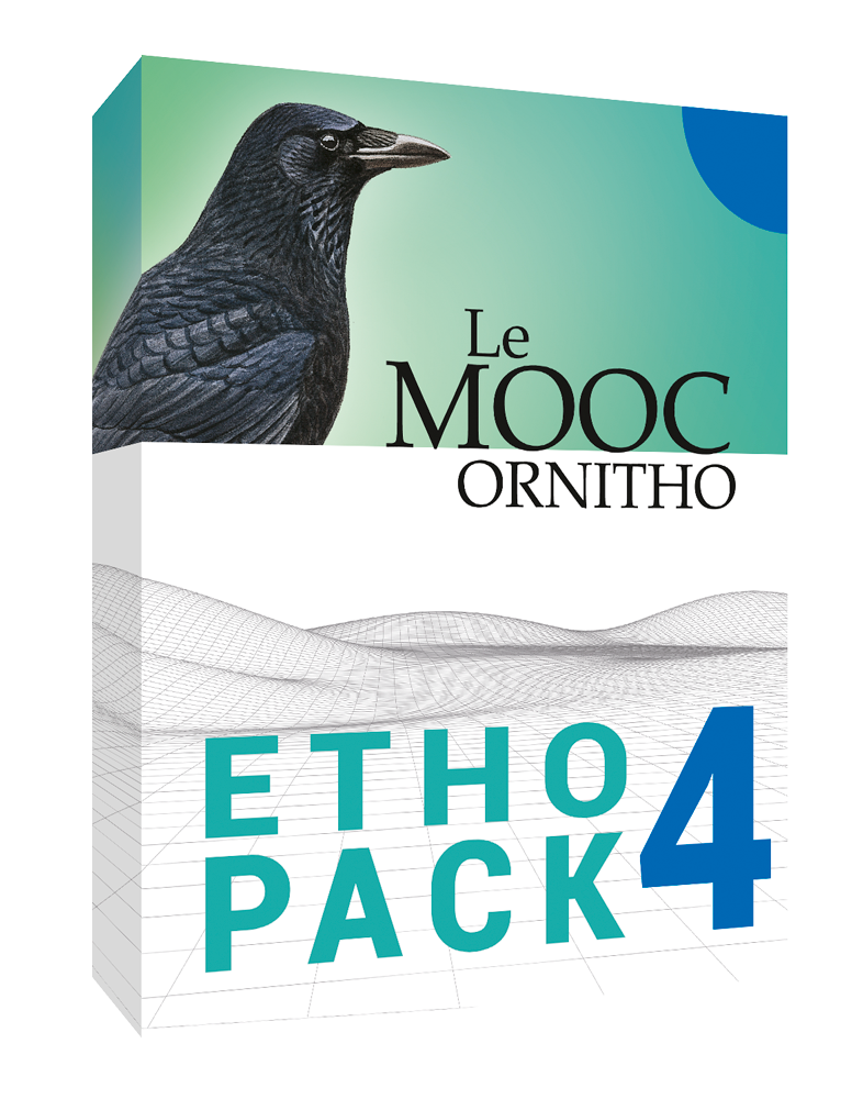 pack étho4