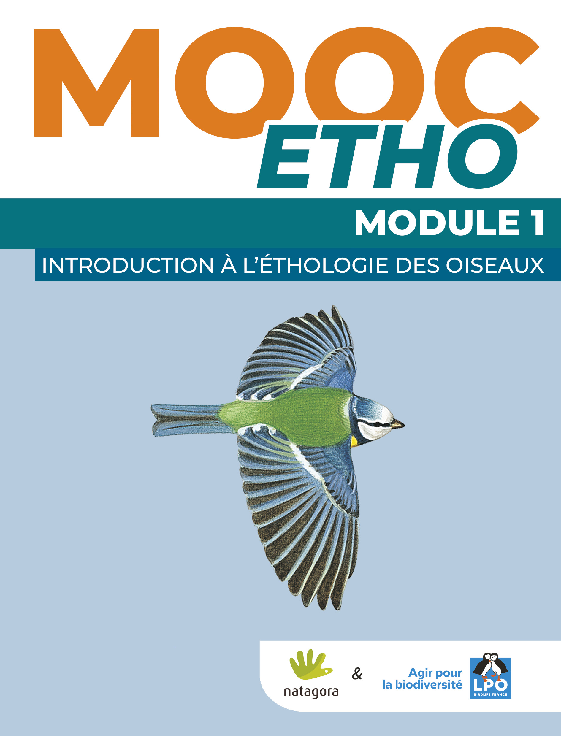Module Étho 1