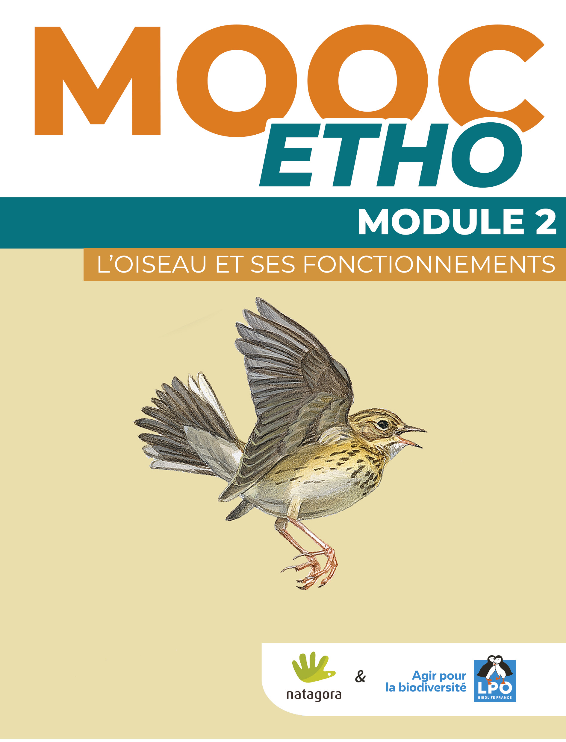 Module Étho 2
