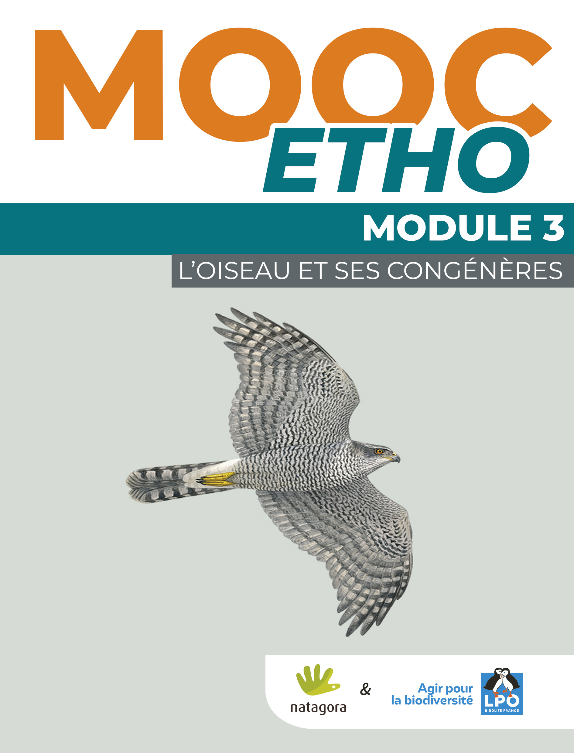 Module Étho 3