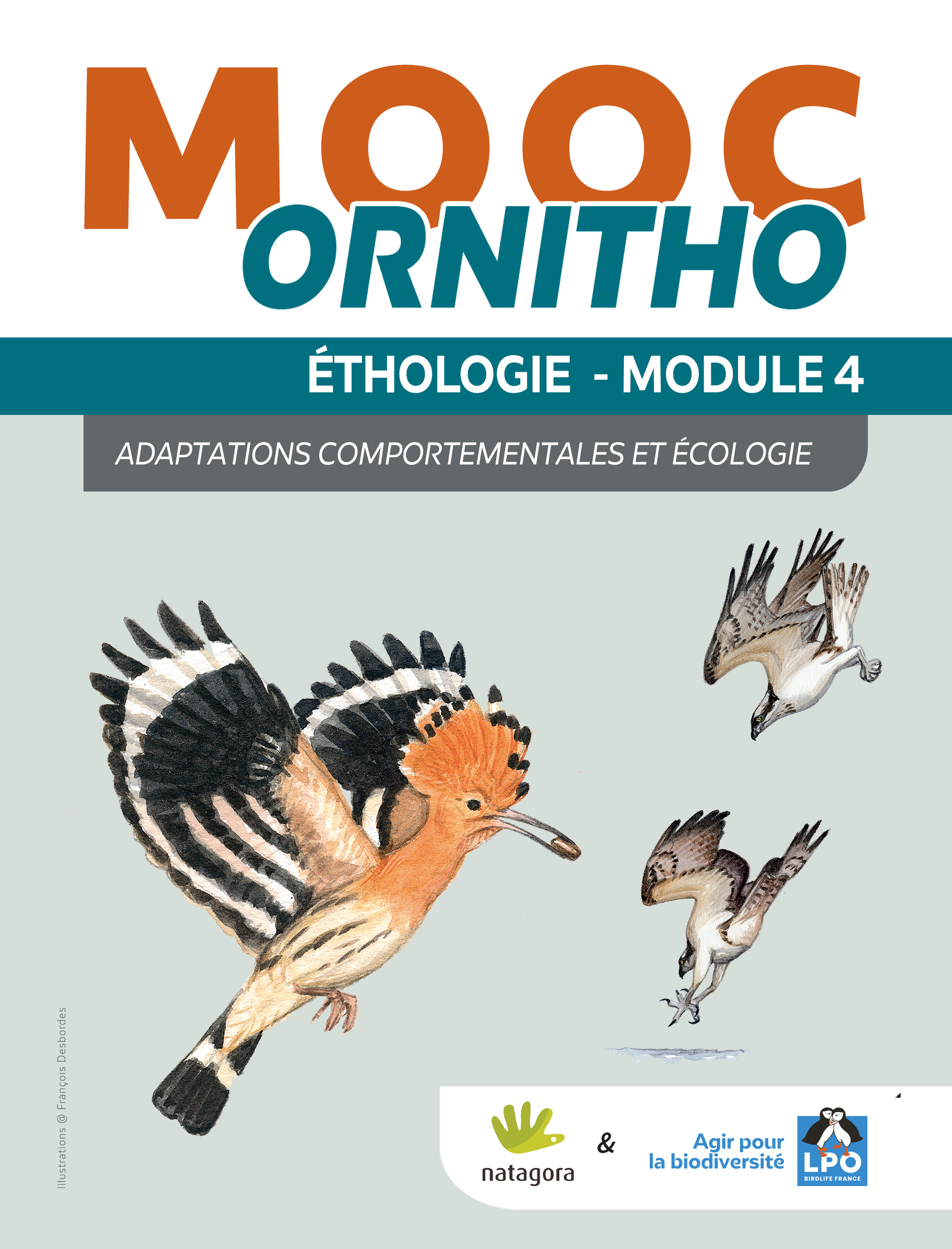 Module Étho 4